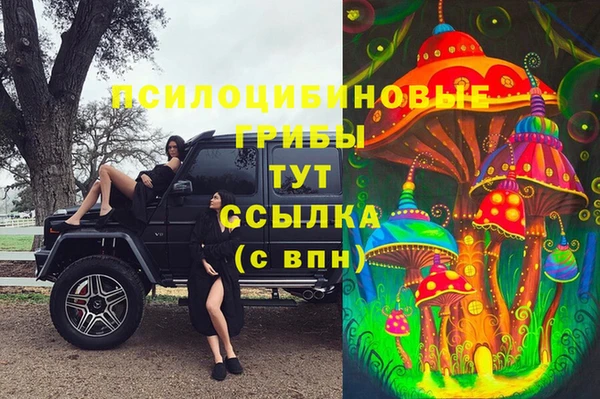 мяу мяу мука Арсеньев