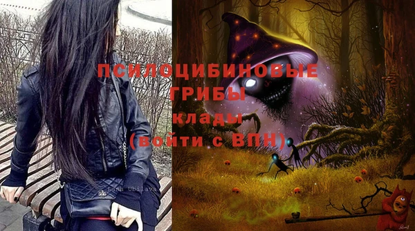 мяу мяу мука Арсеньев
