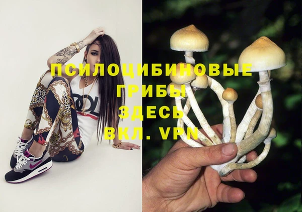 альфа пвп Армянск