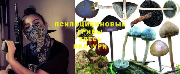 альфа пвп Армянск